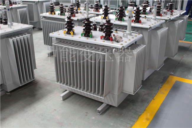 雅安S22-250KVA/10KV变压器